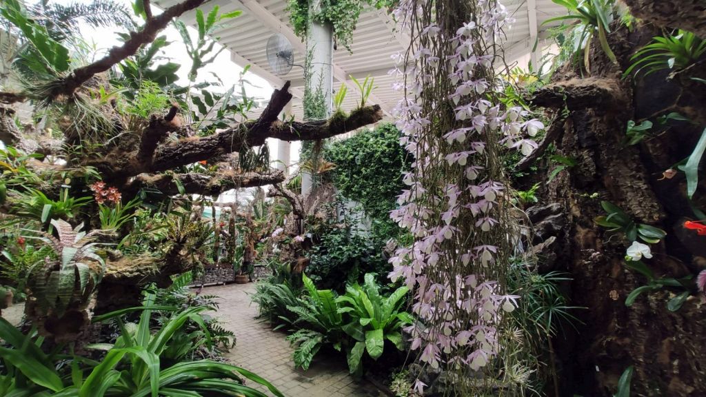 Estepona Orchidarium