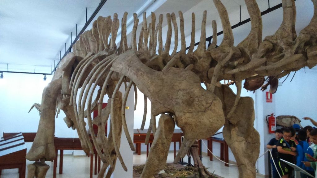 Museo Paleontológico Estepona