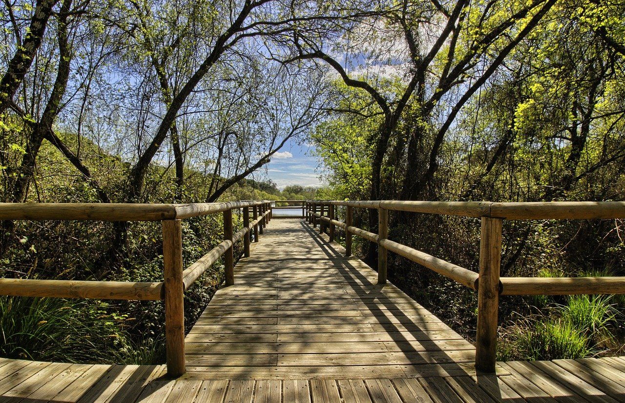 Doñana Parque 