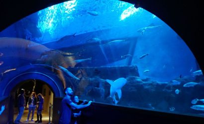 Sevilla Aquarium
